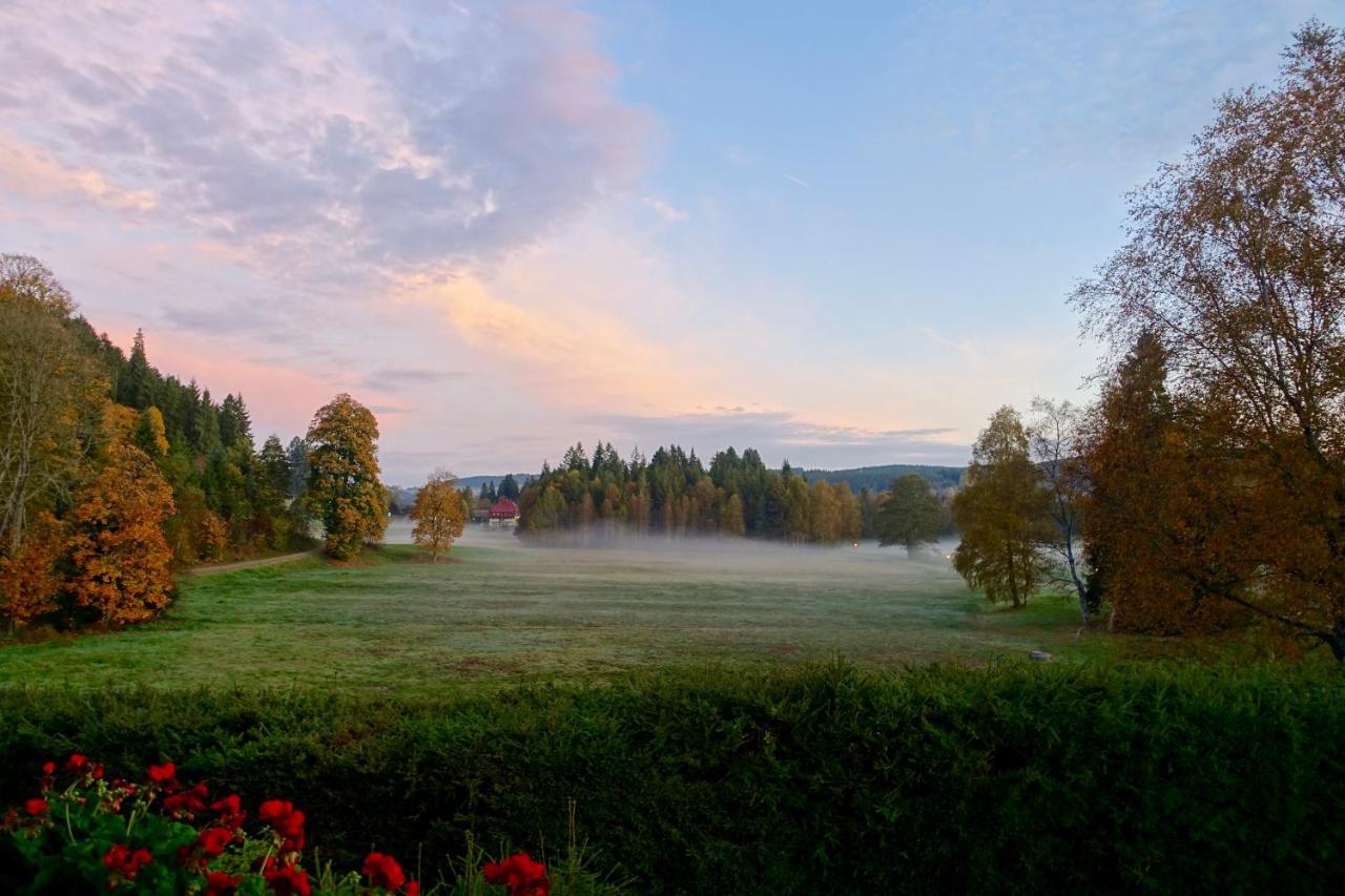 Hollhouse - Bed & Breakfast Hinterzarten Luaran gambar