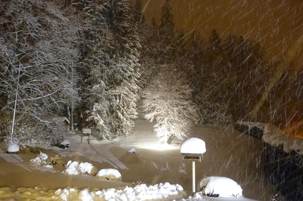 Hollhouse - Bed & Breakfast Hinterzarten Luaran gambar