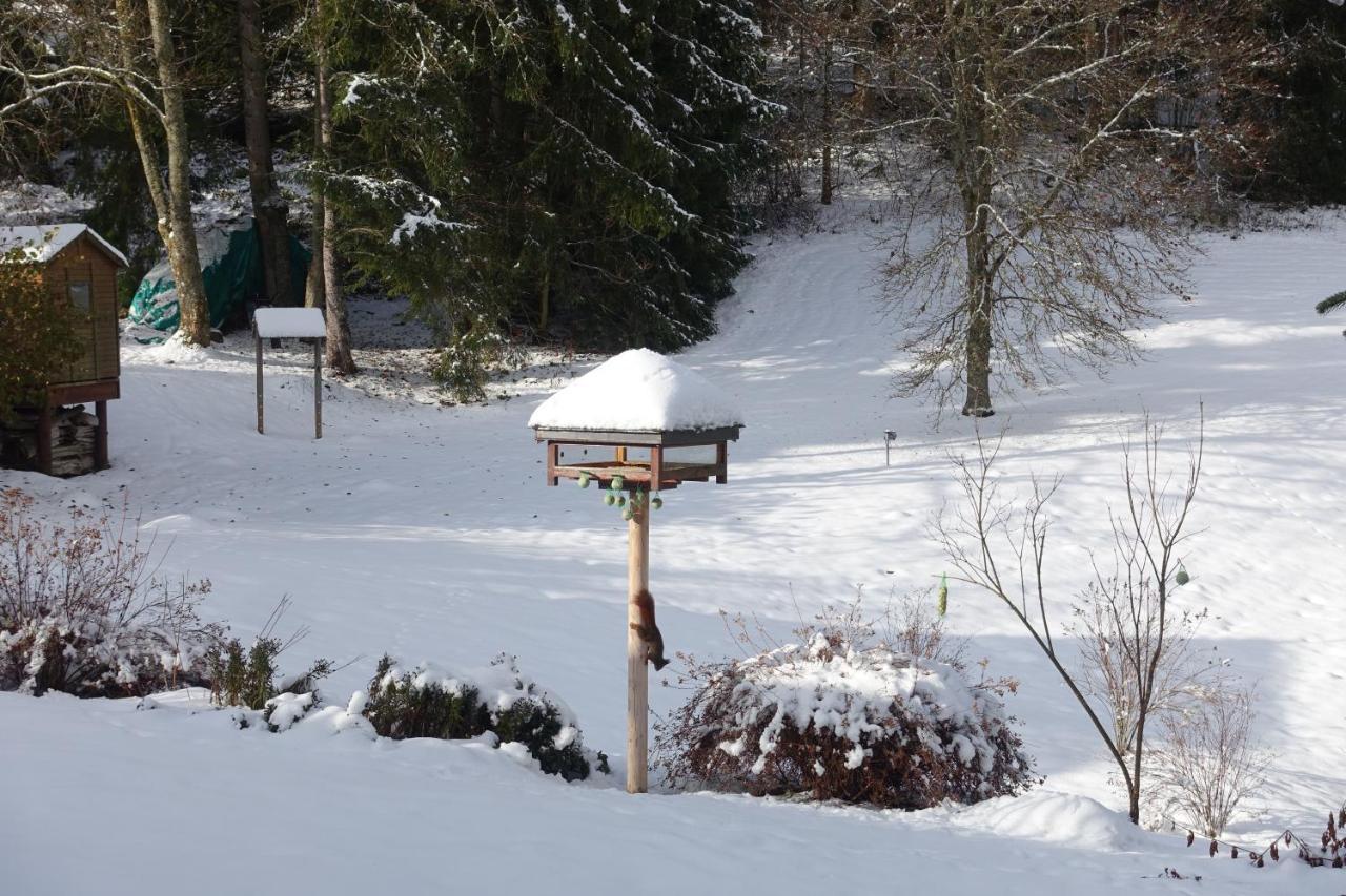 Hollhouse - Bed & Breakfast Hinterzarten Luaran gambar