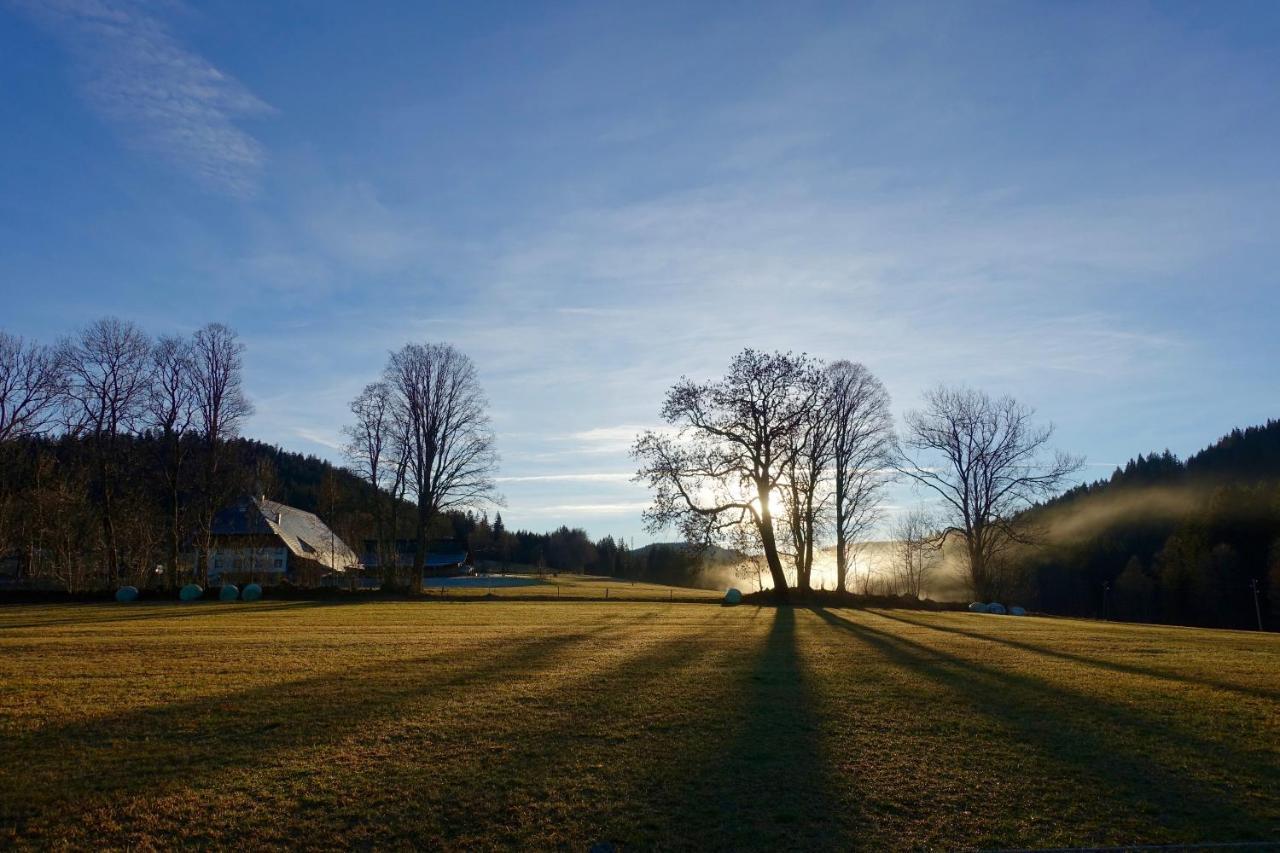 Hollhouse - Bed & Breakfast Hinterzarten Luaran gambar