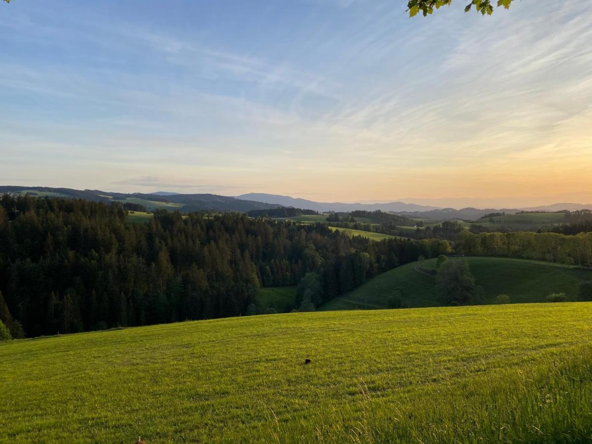 Hollhouse - Bed & Breakfast Hinterzarten Luaran gambar