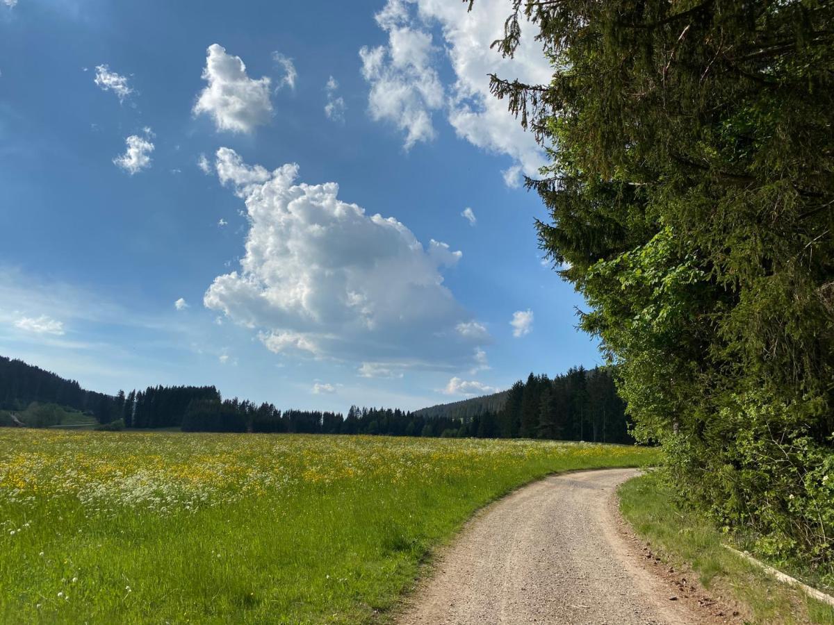 Hollhouse - Bed & Breakfast Hinterzarten Luaran gambar
