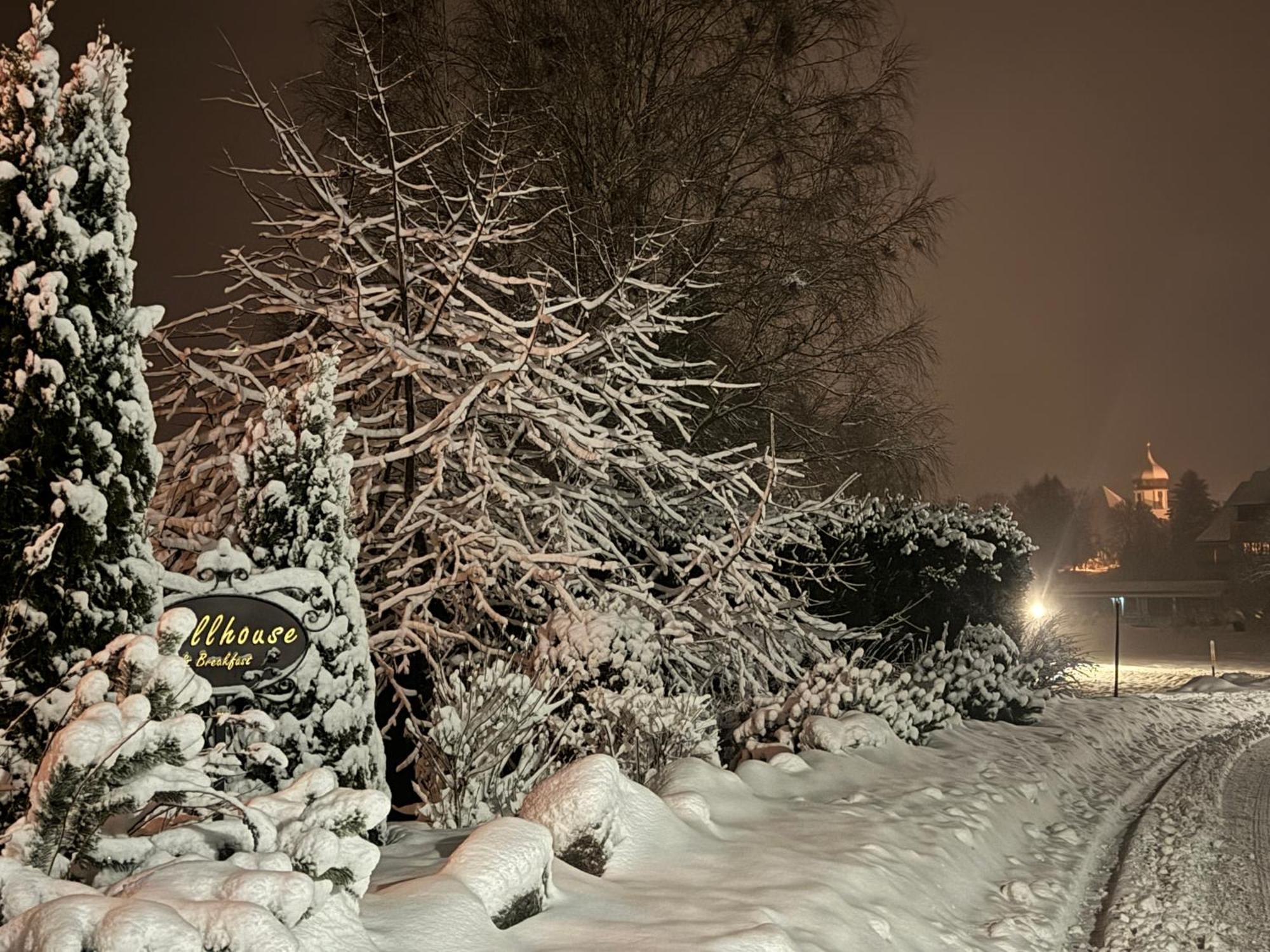 Hollhouse - Bed & Breakfast Hinterzarten Luaran gambar