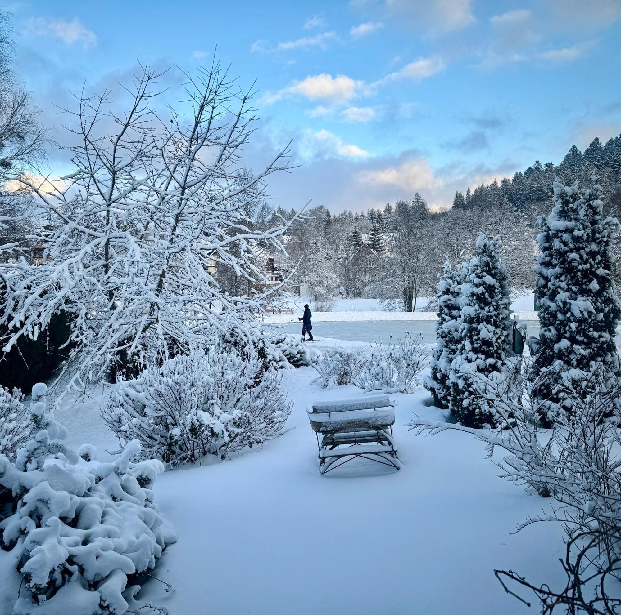Hollhouse - Bed & Breakfast Hinterzarten Luaran gambar